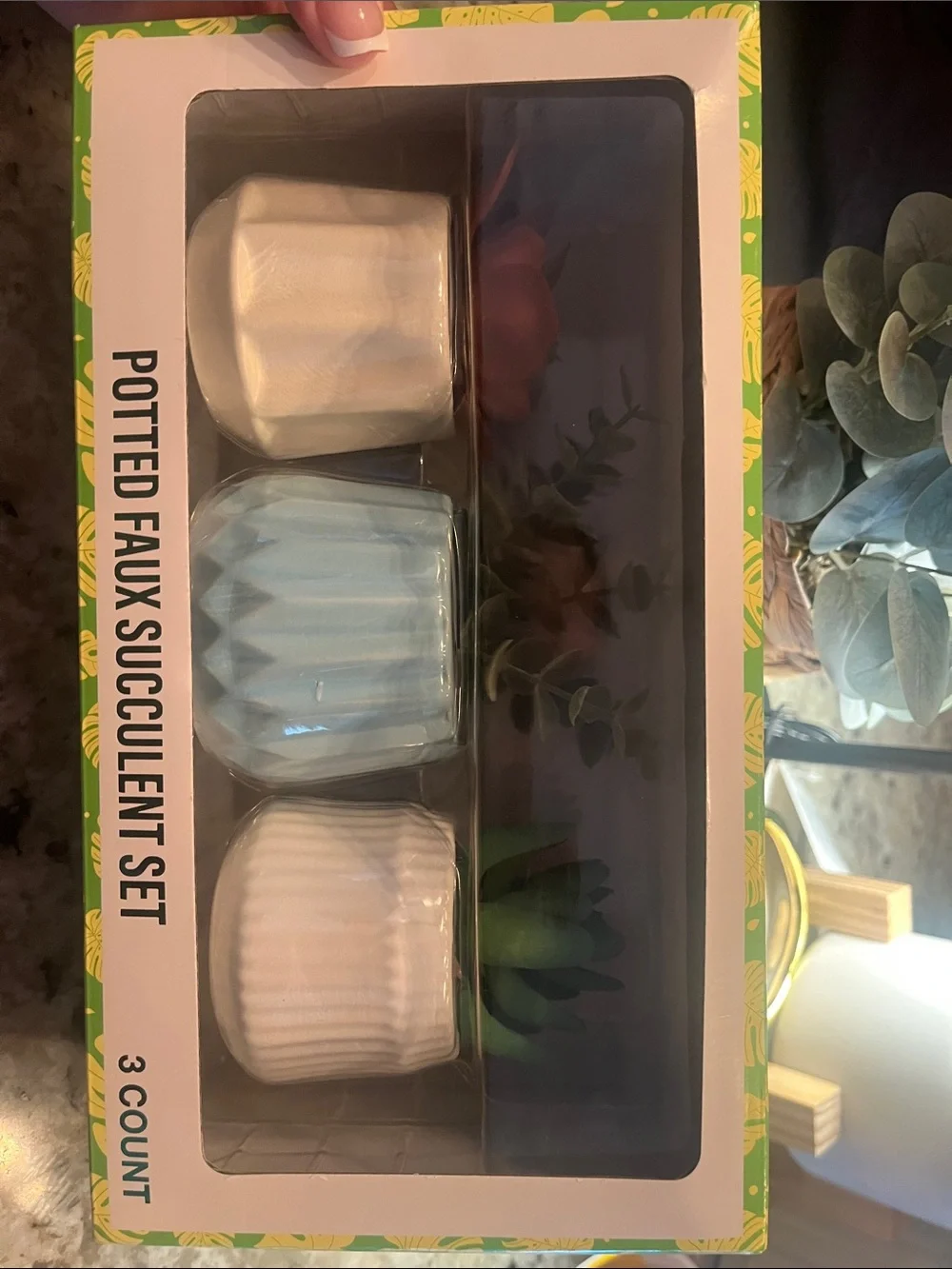 Potted Faux Succulent Set - Blue, White, Cream